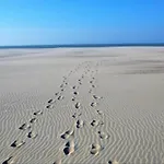 In By Sandy Beaches Nieuport