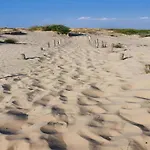 In By Sandy Beaches *