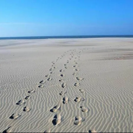 In By Sandy Beaches ニーウポールト