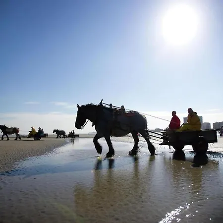 In By Sandy Beaches