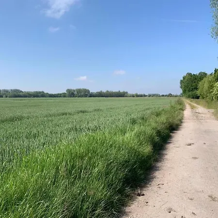 In By Sandy Beaches アパート ニーウポールト