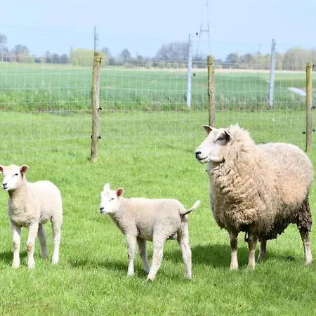 アパート In By Sandy Beaches *